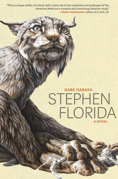 Book cover of Stephen Florida: A Novel