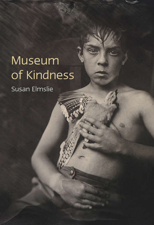 Book cover of Museum of Kindness
