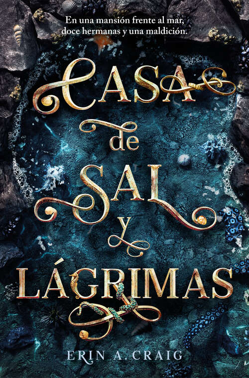 Book cover of Casa de sal y lágrimas