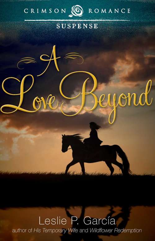 Book cover of A Love Beyond
