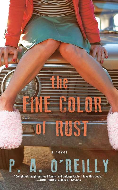 Book cover of The Fine Color of Rust