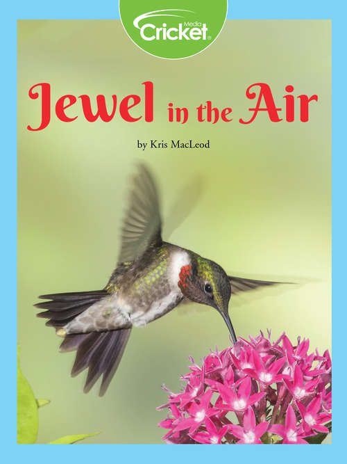 Book cover of Jewel in the Air