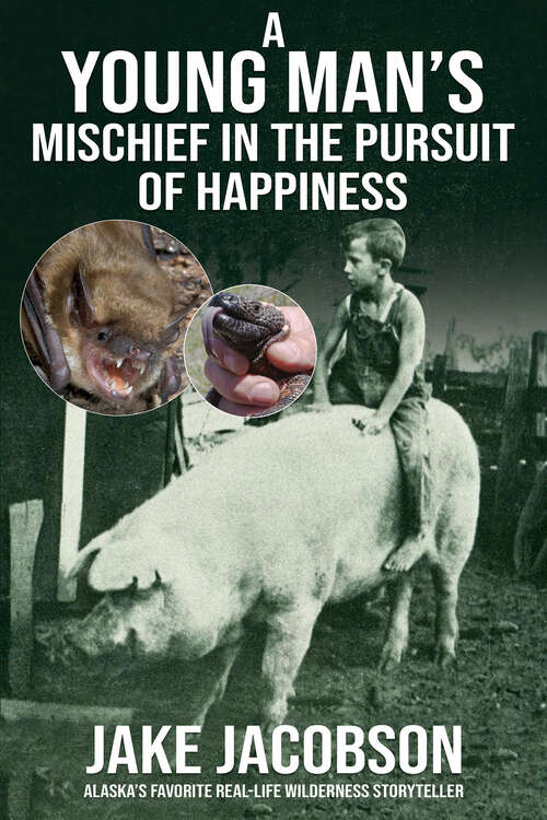 Book cover of A Young Man’s Mischief in the Pursuit of Happiness