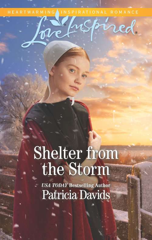 Book cover of Shelter from the Storm: A Fresh-Start Family Romance (Original) (North Country Amish)