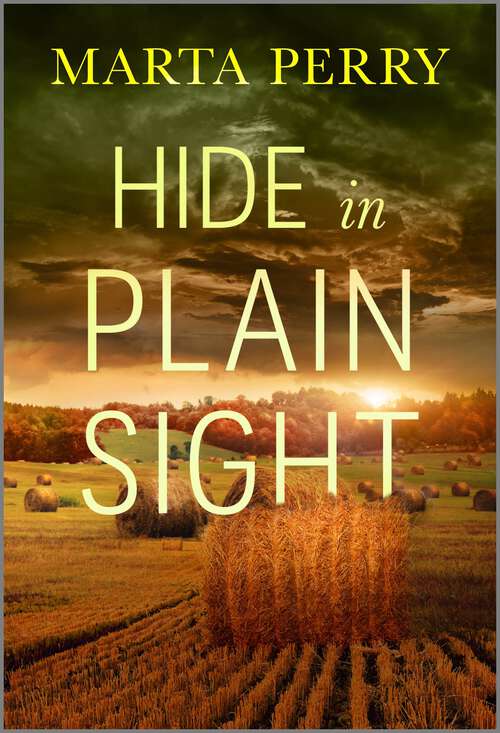 Book cover of Hide in Plain Sight: A Thrilling Amish Mystery (Reissue) (The Three Sisters Inn #1)