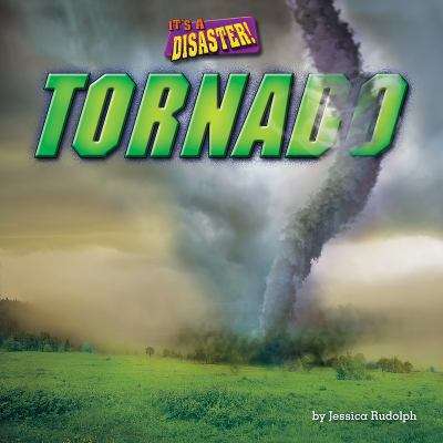 Book cover of Tornado (It's a Disaster!)