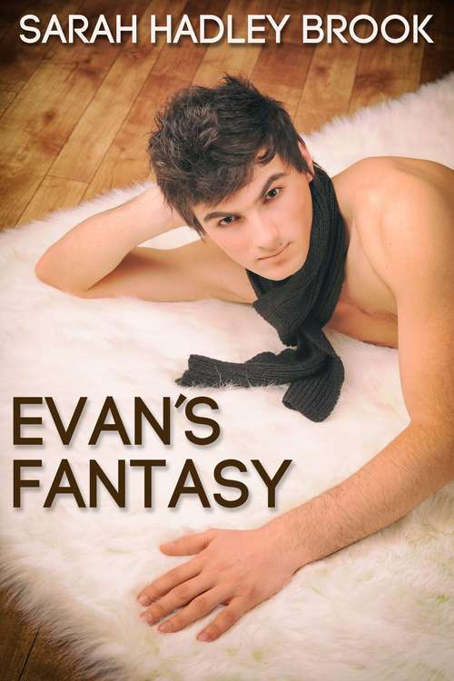 Book cover of Evan's Fantasy