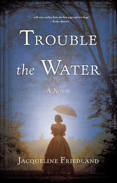 Book cover of Trouble the Water: A Novel