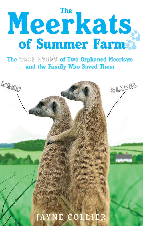 Book cover of The Meerkats Of Summer Farm: The True Story of Two Orphaned Meerkats and the Family Who Saved Them