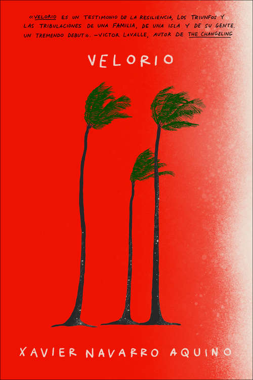 Book cover of Velorio \ (Spanish edition)