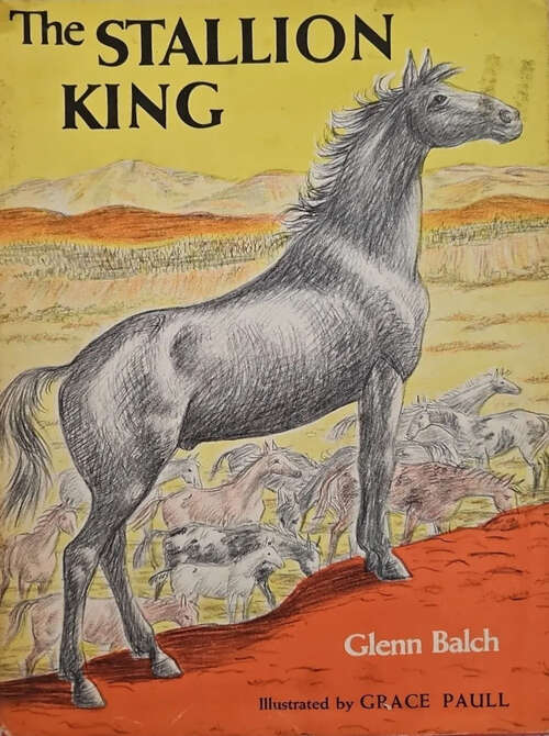 Book cover of The Stallion King (Tack Ranch #1)