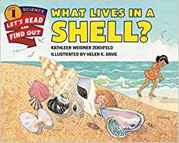 Book cover of What Lives in a Shell (Let's Read And Find Out)