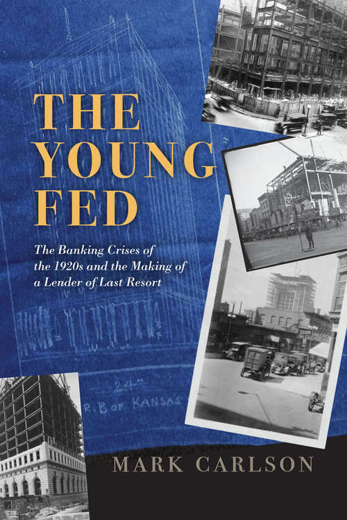 Book cover of The Young Fed: The Banking Crises of the 1920s and the Making of a Lender of Last Resort (Markets and Governments in Economic History)