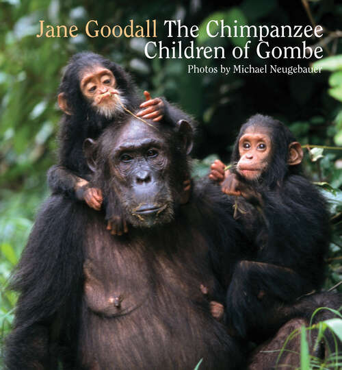 Book cover of Chimpanzee Children of Gombe