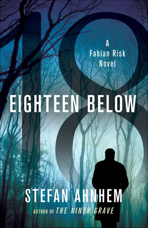 Book cover of Eighteen Below: A Fabian Risk Novel (Fabian Risk Series #3)