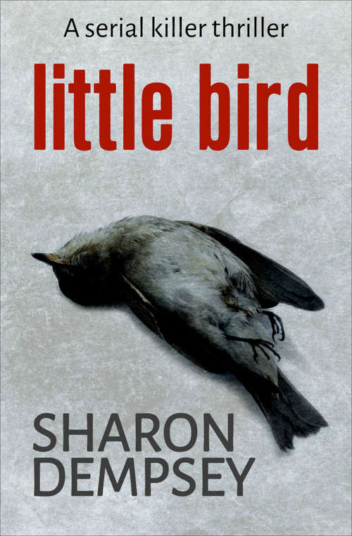 Book cover of Little Bird: A Serial Killer Thriller