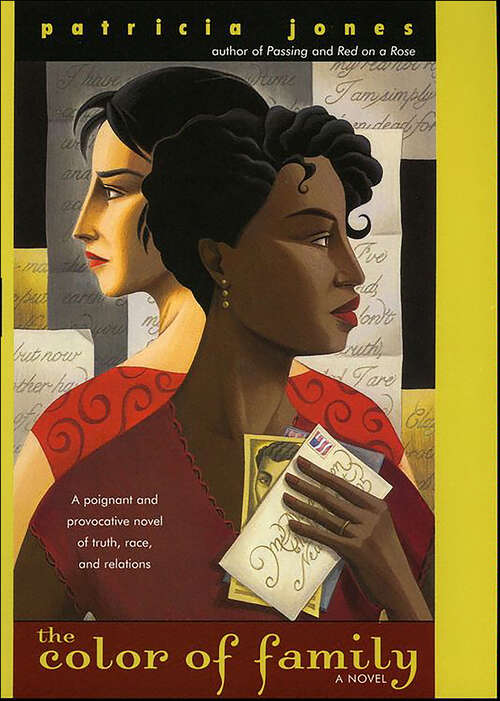 Book cover of The Color of Family: A Novel