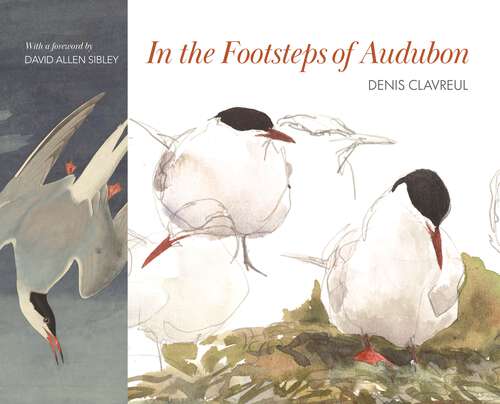 Book cover of In the Footsteps of Audubon