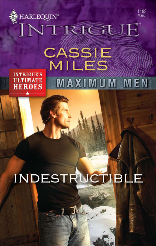 Book cover of Indestructible (Maximum Men #4)