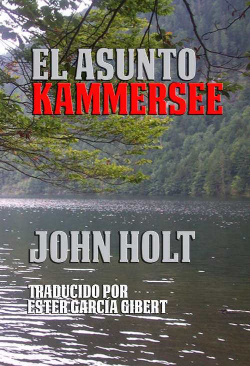 Book cover of El asunto Kammersee