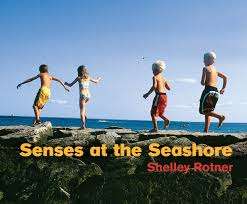 Book cover of Senses at the Seashore (Shelley Rotner's Early Childhood Library)