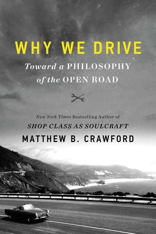 Book cover of Why We Drive: Toward a Philosophy of the Open Road