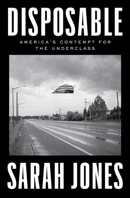 Book cover of Disposable: America's Contempt for the Underclass