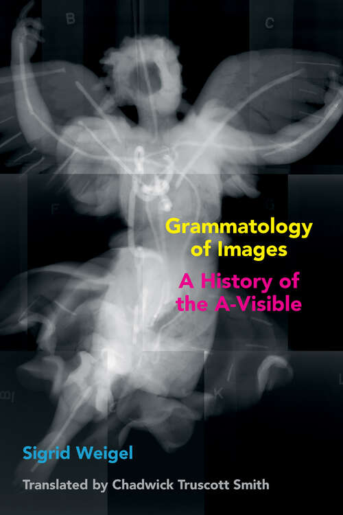 Book cover of Grammatology of Images: A History of the A-Visible (1) (Commonalities)