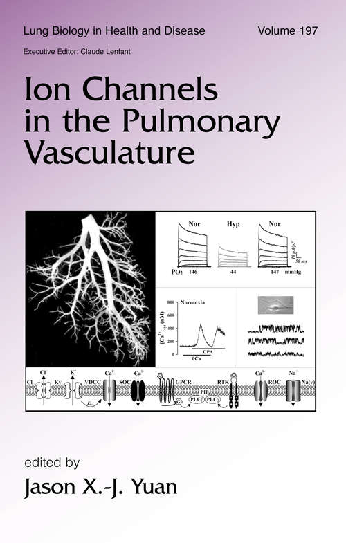 Book cover of Ion Channels in the Pulmonary Vasculature (Lung Biology in Health and Disease)