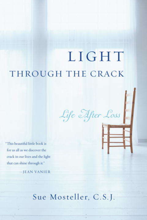 Book cover of Light Through the Crack