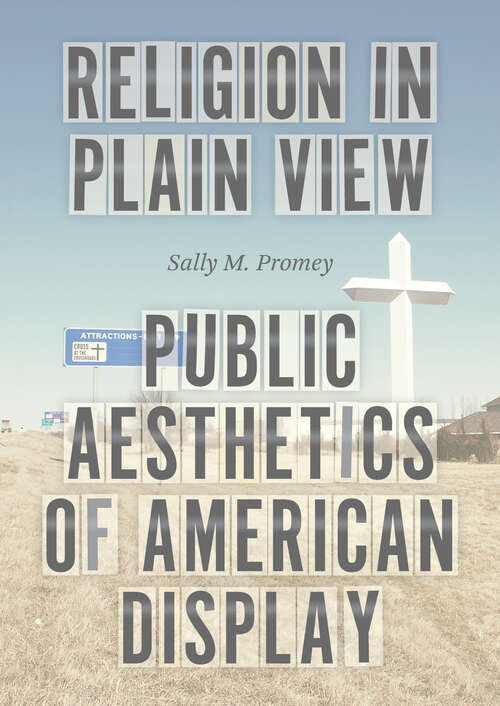 Book cover of Religion in Plain View: Public Aesthetics of American Display