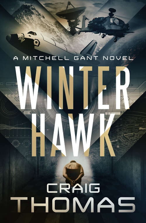 Book cover of Winter Hawk (Digital Original) (The Mitchell Gant Series)