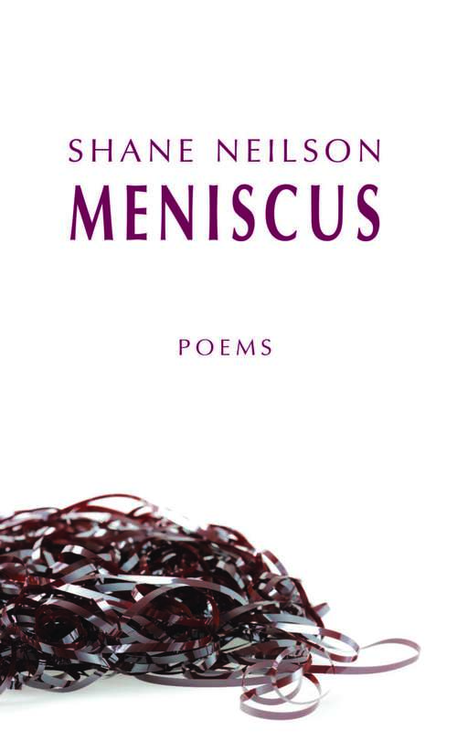 Book cover of Meniscus