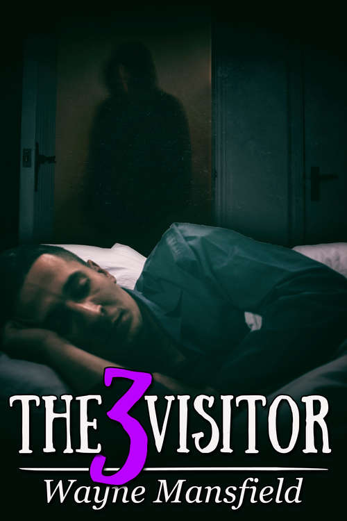 Book cover of The Visitor 3