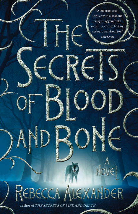 Book cover of The Secrets of Blood and Bone: A Novel (Secrets Ser. #2)