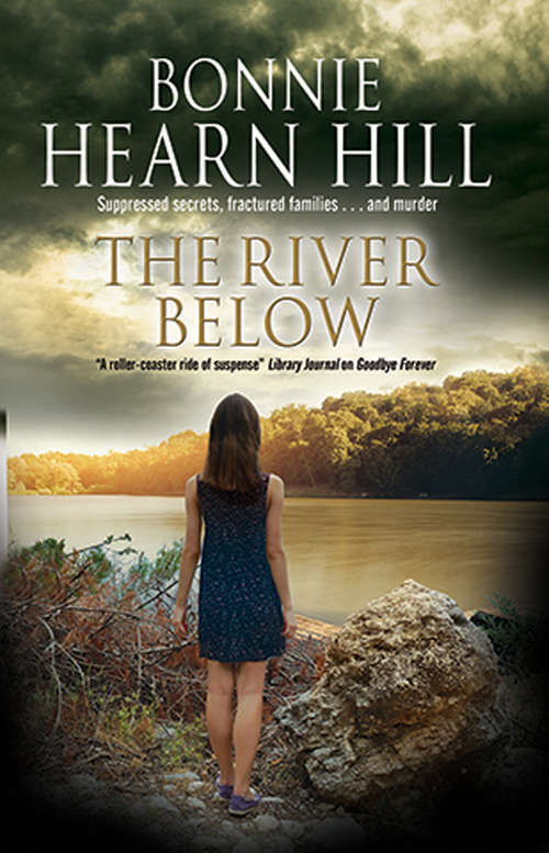 Book cover of The River Below