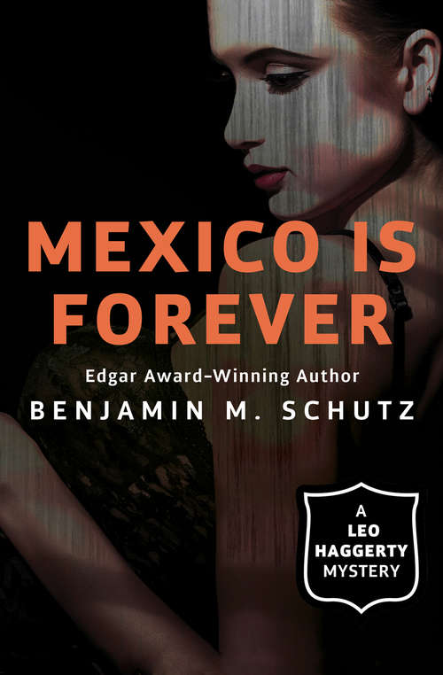 Book cover of Mexico Is Forever (The Leo Haggerty Mysteries #6)