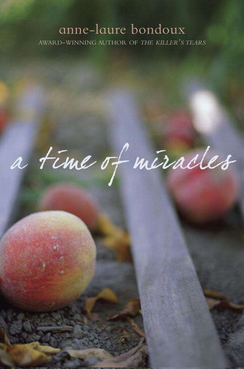 Book cover of A Time of Miracles