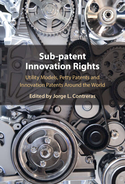 Book cover of Sub-Patent Innovation Rights: Utility Models, Petty Patents and Innovation Patents Around the World