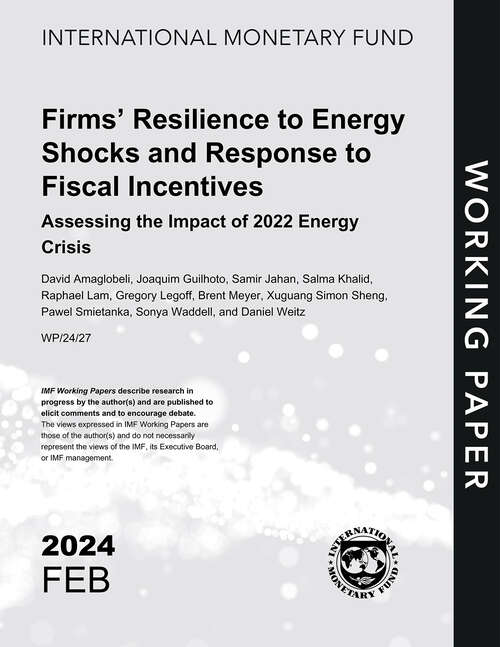 Book cover of Firms’ Resilience to Energy Shocks and Response to Fiscal Incentives: Assessing the Impact of 2022 Energy Crisis