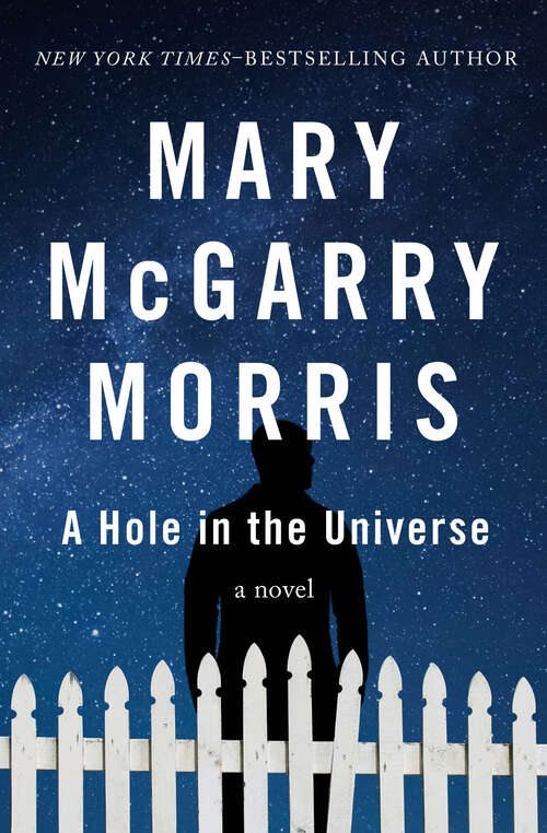 Book cover of A Hole in the Universe: A Novel (Digital Original)