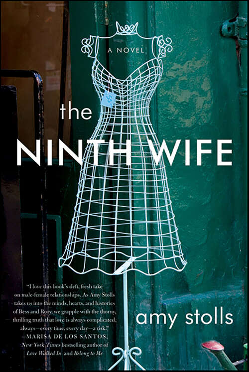 Book cover of The Ninth Wife: A Novel