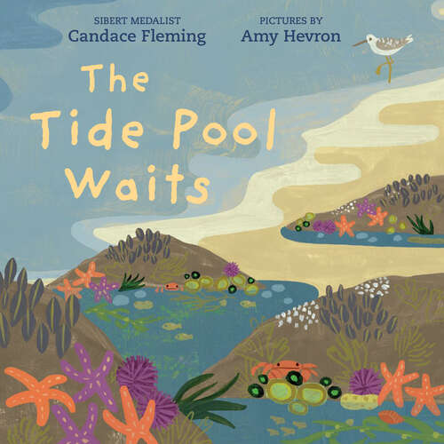 Book cover of The Tide Pool Waits