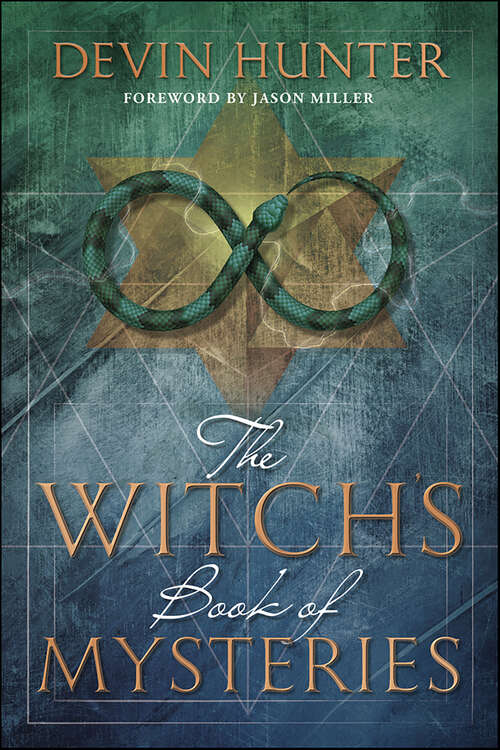 Book cover of Witch's Book of Mysteries