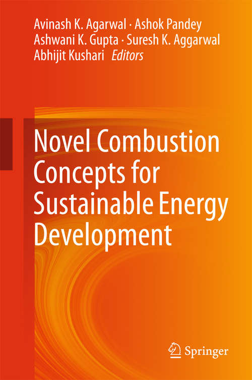 Book cover of Novel Combustion Concepts for Sustainable Energy Development