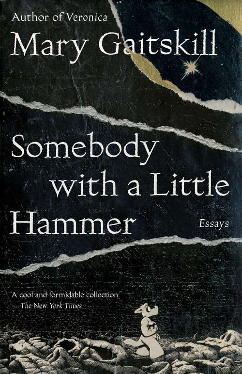 Book cover of Somebody with a Little Hammer: Essays