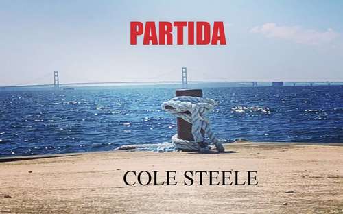 Book cover of Partida
