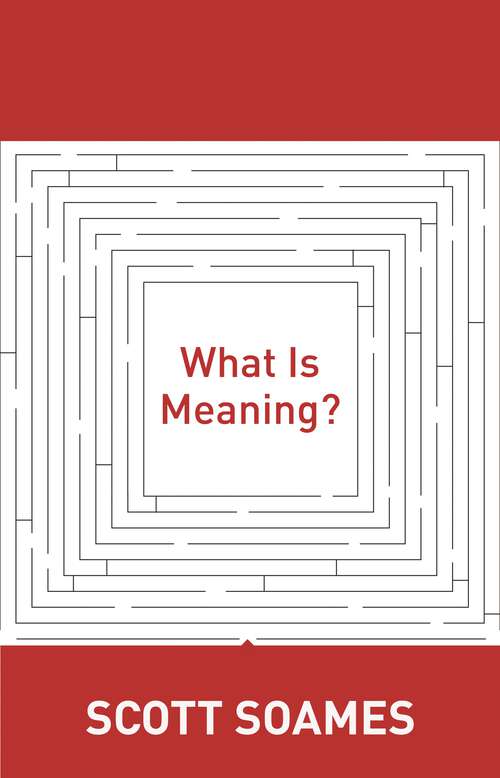 Book cover of What Is Meaning? (Soochow University Lectures in Philosophy #4)