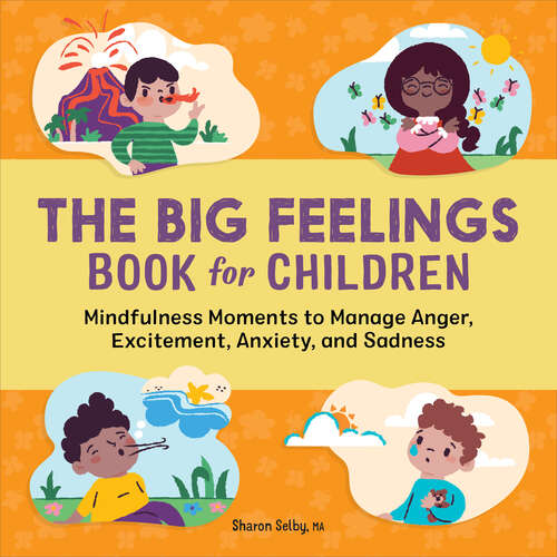 Book cover of The Big Feelings Book for Children: Mindfulness Moments to Manage Anger, Excitement, Anxiety, and Sadness