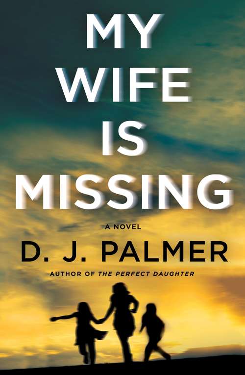 Book cover of My Wife Is Missing: A Novel